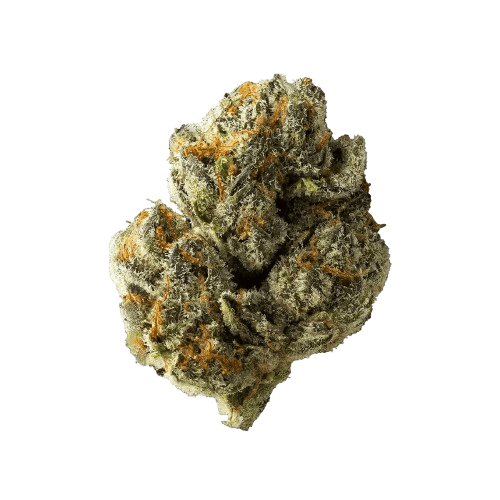 CM 30/1 DM Diamond Mints