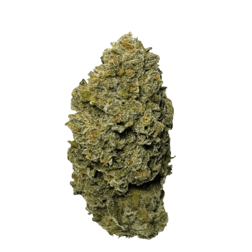 Wellford Aquaponic 23/1 CRO Crescendo Cookies