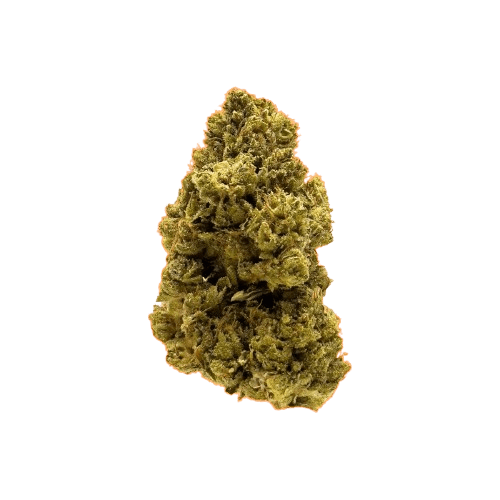 ZOIKS 22/1 CHZ Columbian Haze