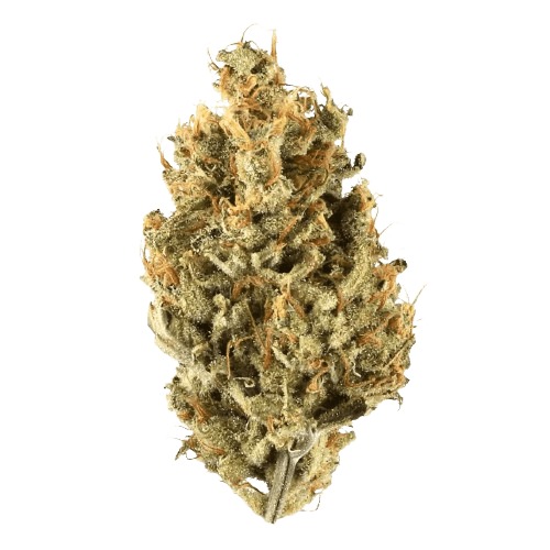 Demecan Core OG 23:01 OG Kush