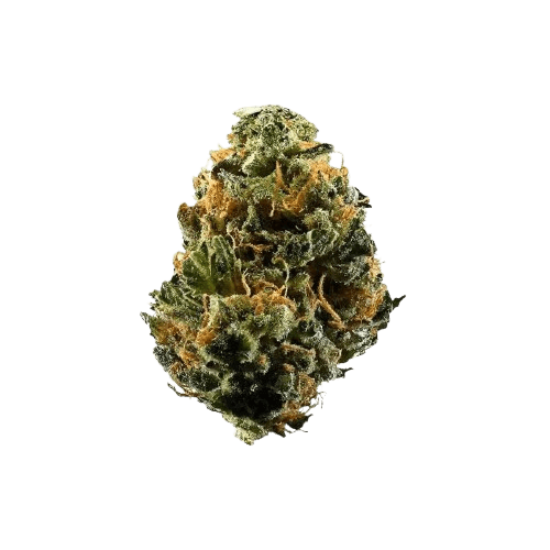 Cannovum Natura KHZ 28/1 Karel's Haze