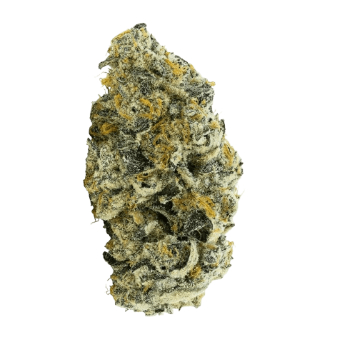 Big Dreams 21/1 PSF T20 