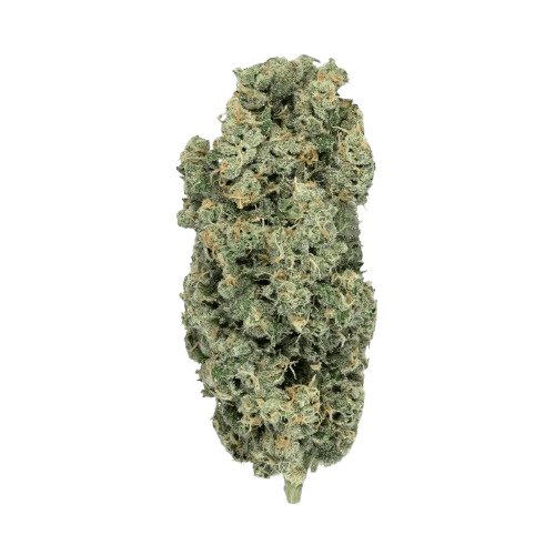 Soma OG 32/1 PF Spritzer