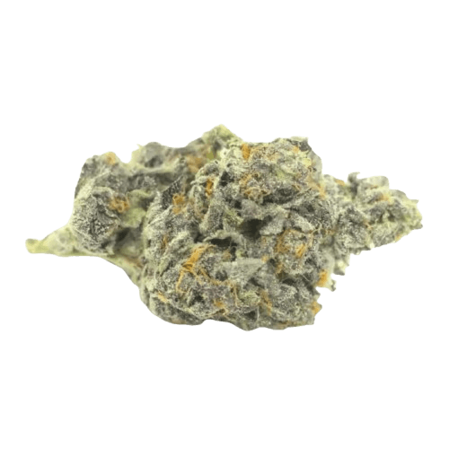 IMC RGP THC26 26/1