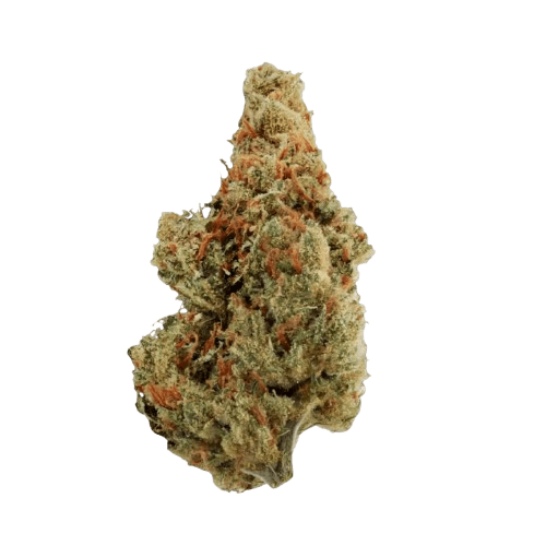 Social Choice! 18/1 GRO ASH Amnesia Haze