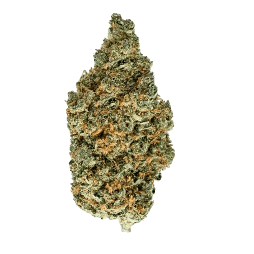 Slouu 22/1 EG CA Electric Grapefruit