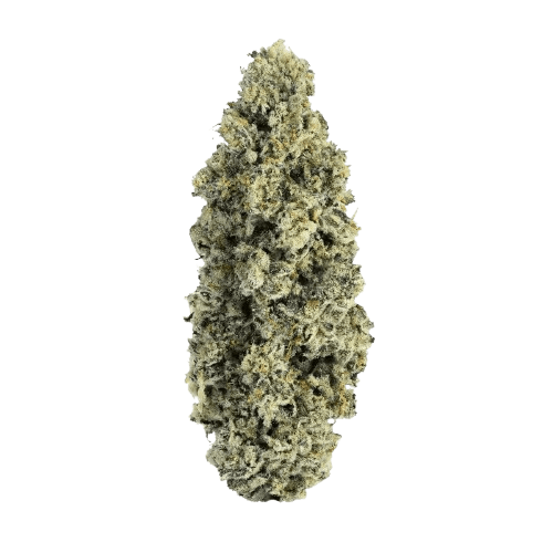 Soma OG 34/1 PF Cap junky
