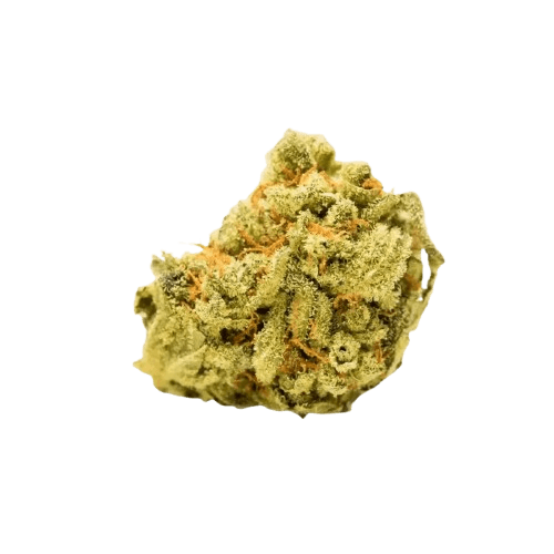 Canify Pure 24/1 LS Bafokeng Choice