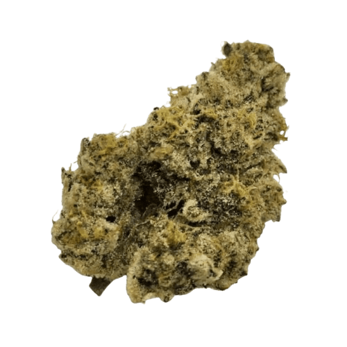 Nimbus easy 22/1 French Cookies