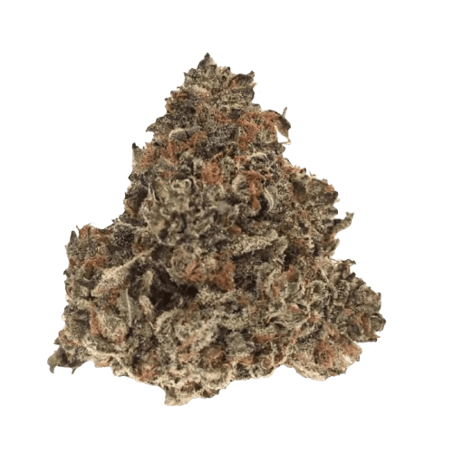 Nimbus easy 20/1 Gelato