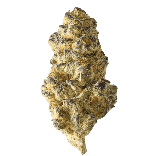 Ceres RP 32/1 Rainbow Pavé