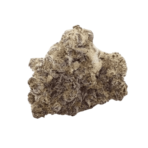 Cannamedical Sativa Forte ES Banjo
