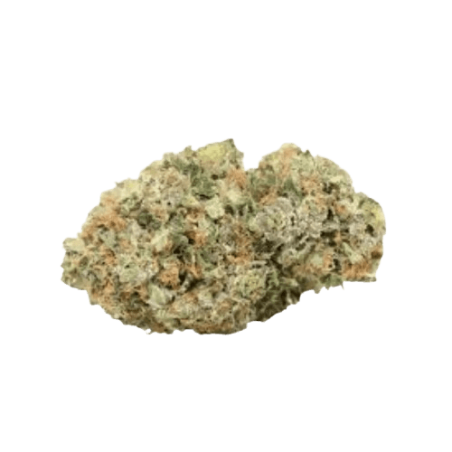 Cantourage Pink D1 30/1