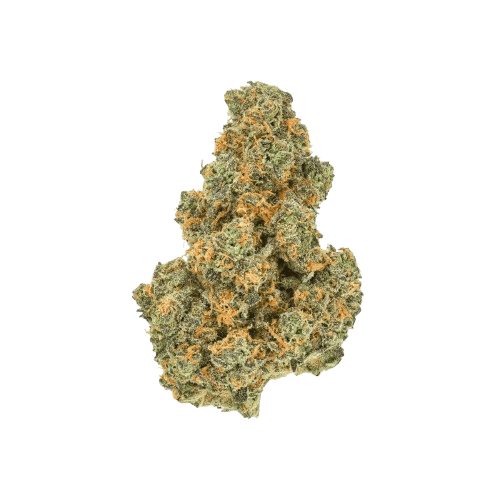 Pedanios 31/1 PND-CA Pink Diesel