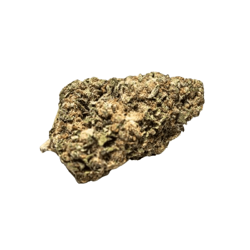 NOC SE 19 Essence