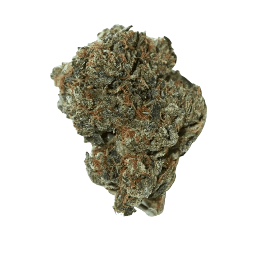 Remexian 30/1 NL CGA Creamy Gas