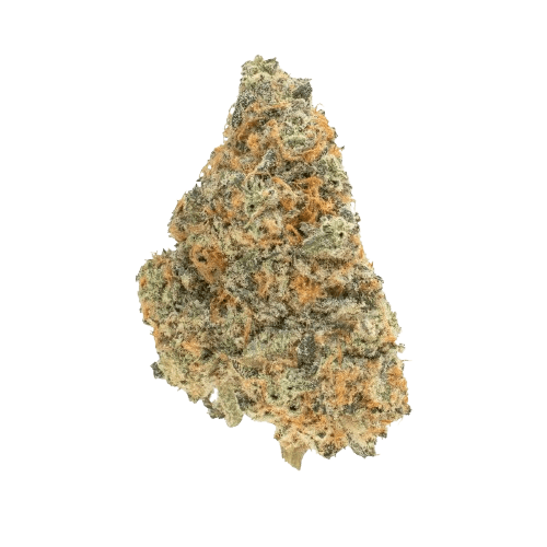 CRQSH JBY 25/1 Jellyberry