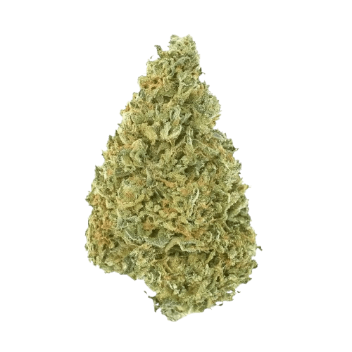 Demecan AV Regular Drop 25/1 Citroli
