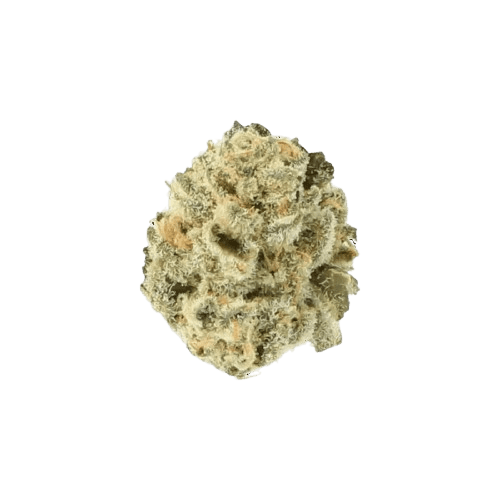 Cannamedical Indica forte El Jefe