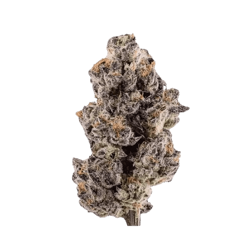 Good Supply THC 15 SPC Space Cake