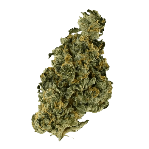 Demecan Core Saxonia 28:01 Wedding Cake x Jet Fuel Gelato