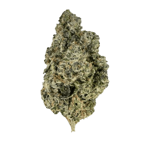 Remexian 30/1 PRT ROG