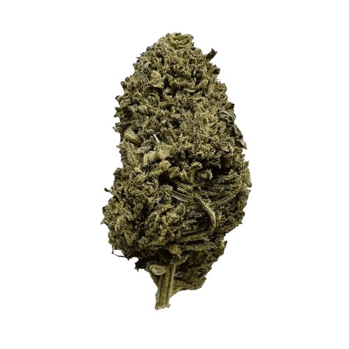 Coyote Valley 22/1 PWK Pinewood Kush