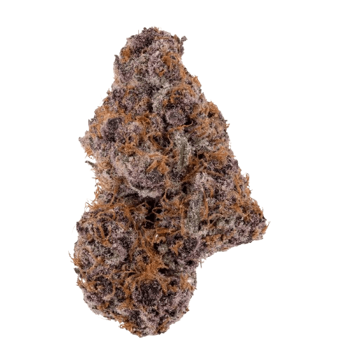 Slouu 22/1 PS3 CA GCB God Cherry Bud