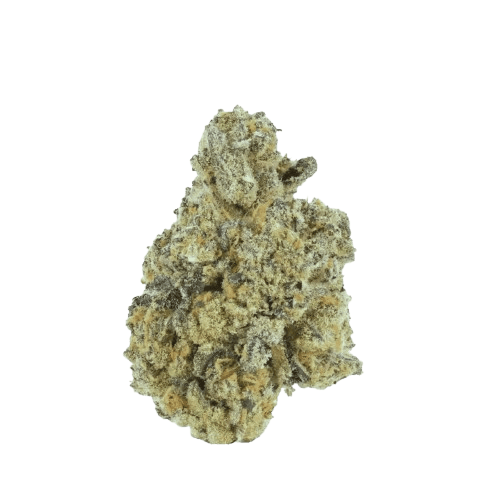 Botanics Orient Bazaar 20/1 Sherbz