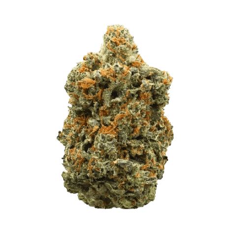 Herbasana Medellin Midnight 22:01 El Patron