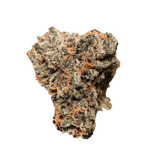 420 Compound 30/1 CA BER Berlin Berries