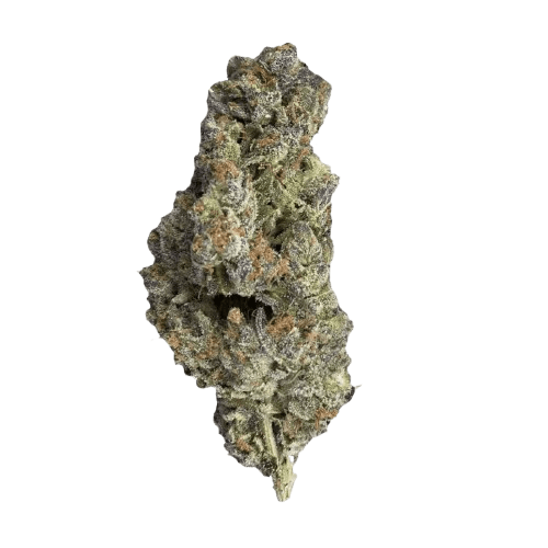 420 Evolution 22/1 CA PLD