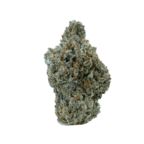 Social Choice 12/1 GRO CCR Cookies & Cream