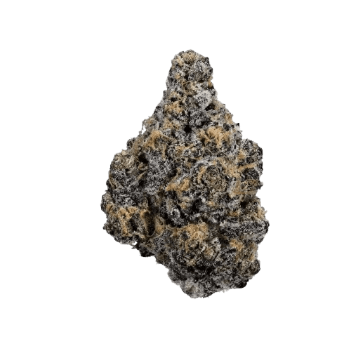 Nimbus easy 22/1 Jealousy