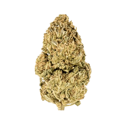 BLKMKT CM THC22 BLK MLK Cereal Milk