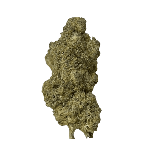 Remexian 24/1 PRT MCR Motor Crasher