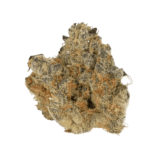 Cannamedical CM 31/1 SPC Space Cake