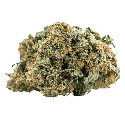 Tilray THC 15 Spotlight Porto Pink Kush