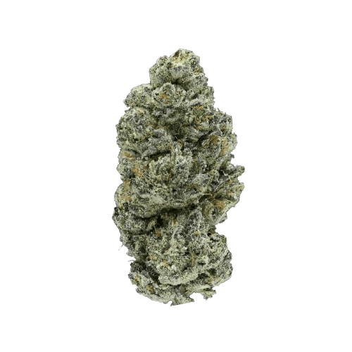 madrecan 24/1 GB9 Garlic Budder