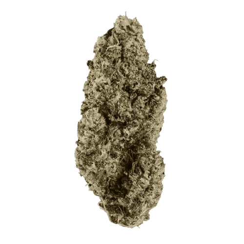 MediproCan LUNARIS 25/1 Capri Haze