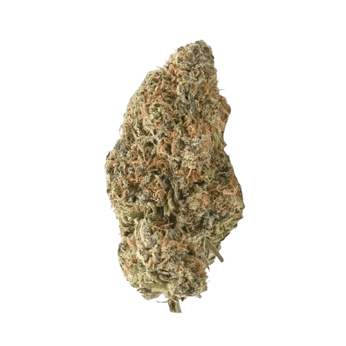 Tilray THC 15 Spotlight Porto Girl Scout Cookies