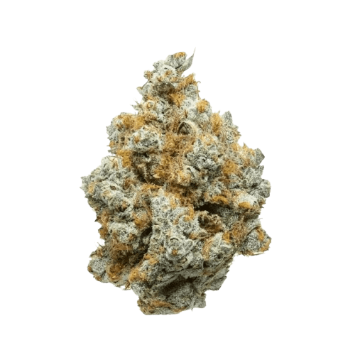 ZOIKS 26/1 UKCC UK Cheddar Cheese