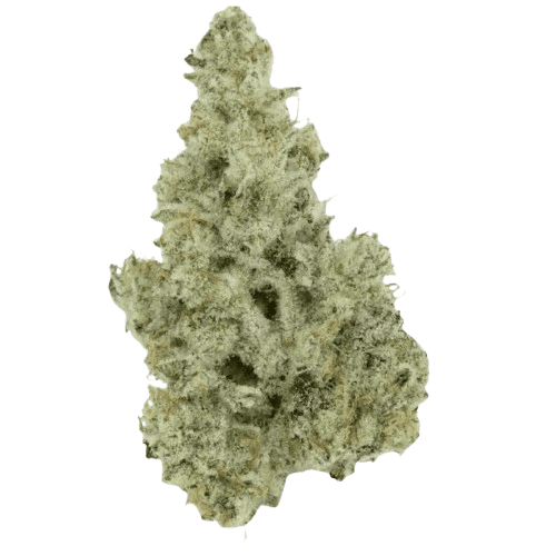420 Evolution 30/1 CA MMI