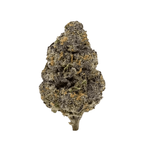 Cannamedical Indica ultra ES Papaya Boom