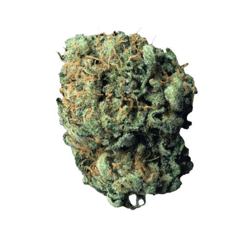 Origine Nature MED 30/1 