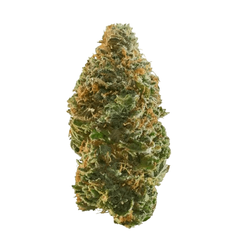 IMC E2 THC22 Zkittlez Pie
