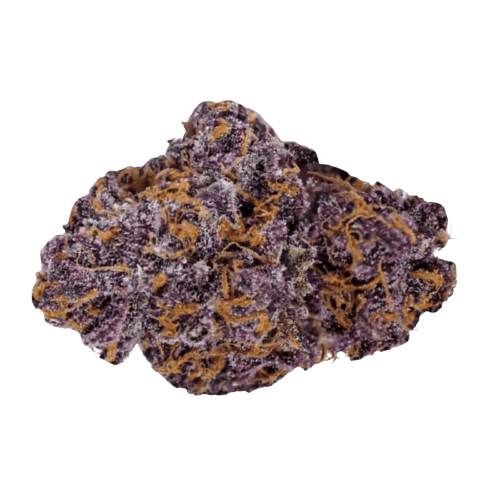 Navcora THC 18 Spotlight Porto Purps