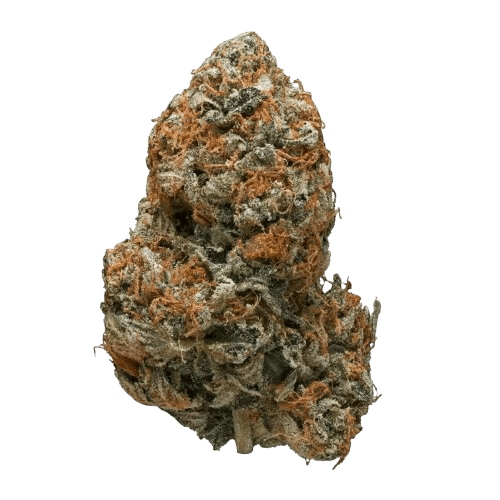 Tilray THC15 Spotlight Porto Black Tuna