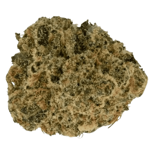 Barongo 30/1 ZP Zesty Parm