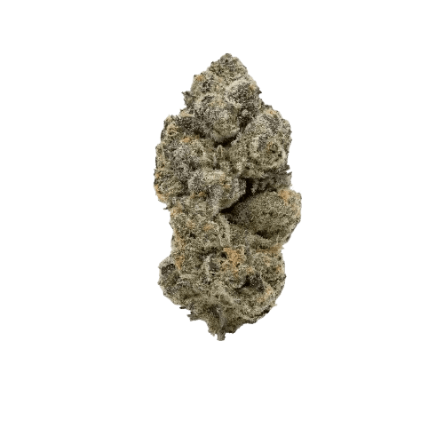 slouu 22/1 BAG CA Berry Arctic Gelato